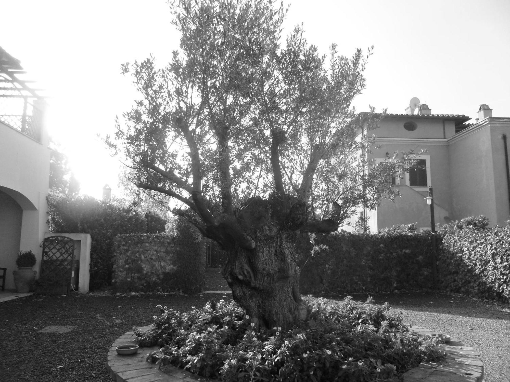 Casale Di Tormaggiore Villa And Country Suites Помеция Екстериор снимка